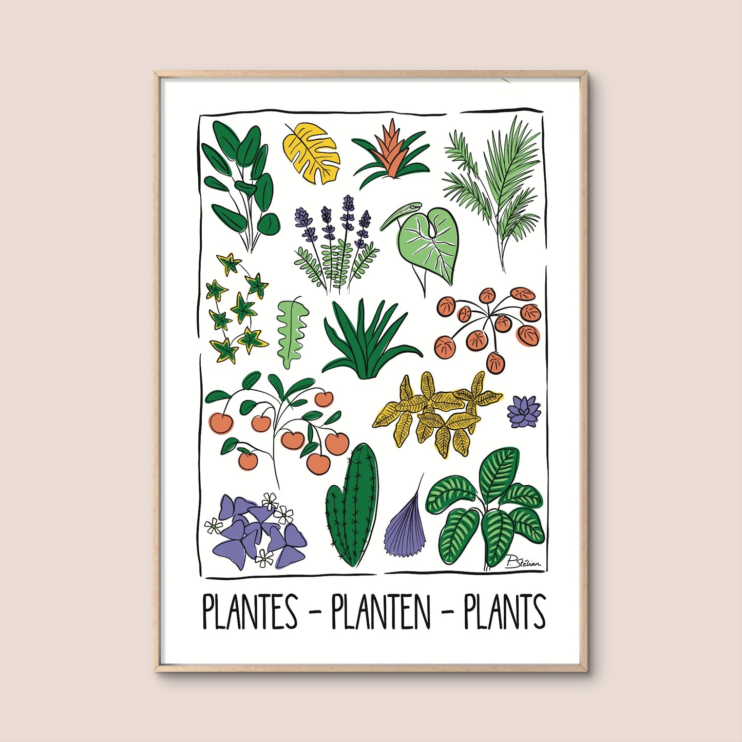 ‘Plantes - Planten - Plants’ Print